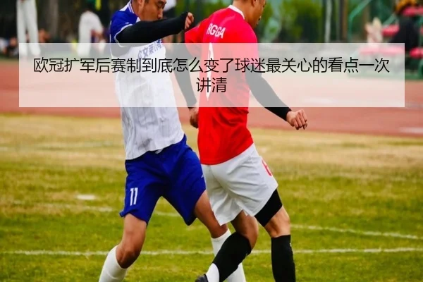 欧冠扩军后赛制到底怎么变了球迷最关心的看点一次讲清